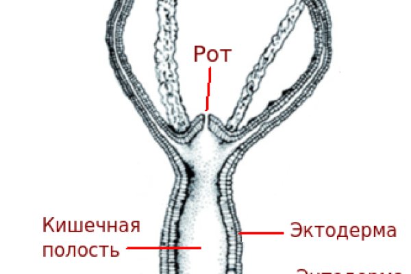 Ссылка на kraken торговая площадка