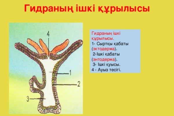 Маркетплейс кракен kraken darknet top